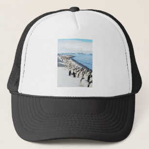 Pengiuns på stranden keps