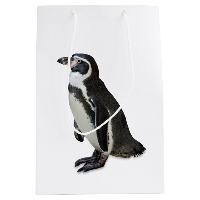 Penguin (Framsidan)