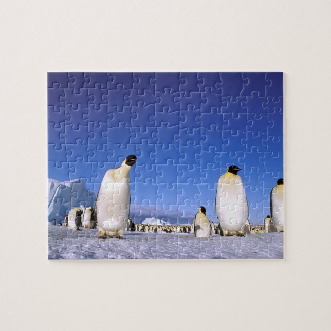 Penguin | Antarktis, Antarktis Peninsula Pussel (Horisontell)