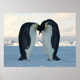 Penguin Arktiska födelsedag Shower Party Kärlek De Poster