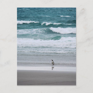Penguin återvänder från havet vykort