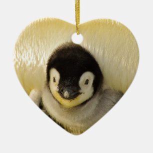 Penguin baby julgransprydnad keramik