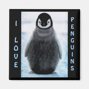 Penguin Baby Penguin-älskare Fine Art Magnet