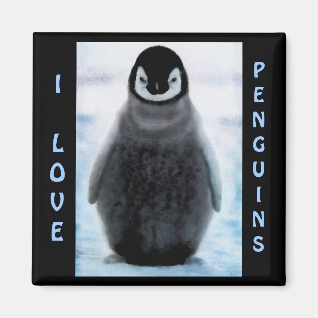 Penguin Baby Penguin-älskare Fine Art Magnet (Framsidan)