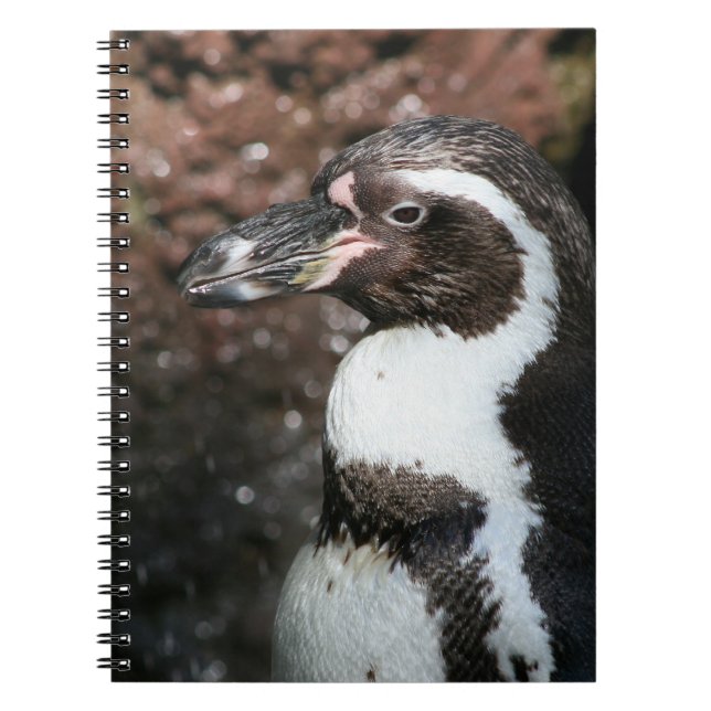 Penguin bärbar dator anteckningsbok (Framsidan)