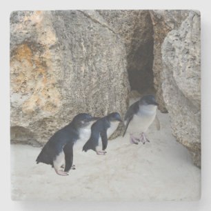 Penguin Beach House Stenunderlägg