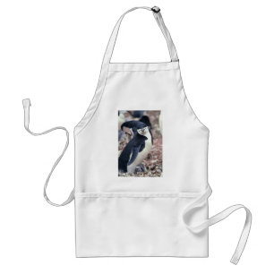 Penguin Bird Cute Animal Black White Vatten Förkläde