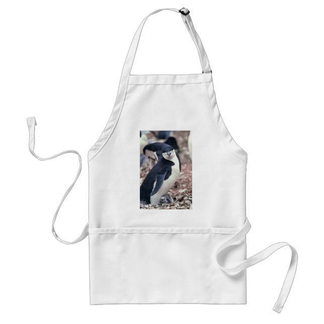 Penguin Bird Cute Animal Black White Vatten Förkläde (Framsidan)