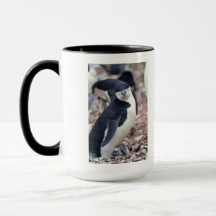 Penguin Bird Cute Animal Black White Vatten Mugg