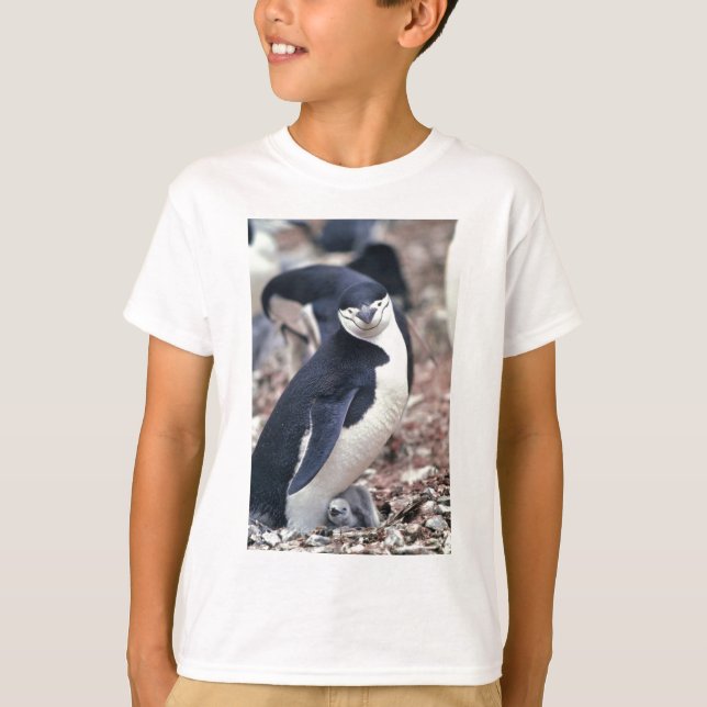 Penguin Bird Cute Animal Black White Vatten Tee (Framsida)