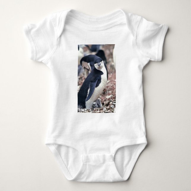 Penguin Bird Cute Animal Black White Vatten Tee (Framsida)