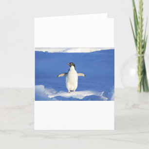 Penguin Bird Feathers Black White Personalize Namn Kort
