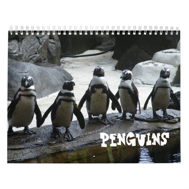 Penguin Calendar Kalender (Omslag)
