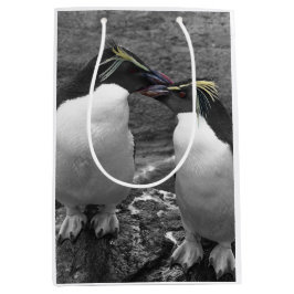 Penguin Colour Splash