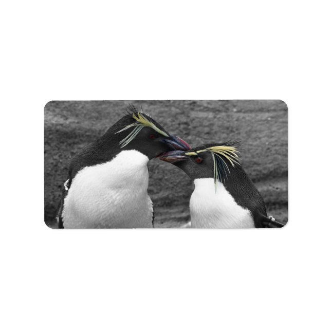 Penguin Colour Splash Adressetikett (Framsidan)