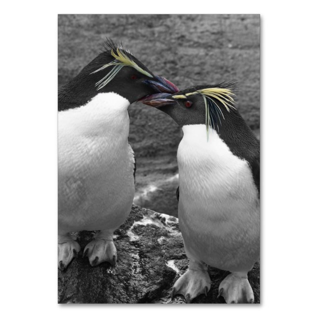 Penguin Colour Splash Bordsnummer (Framsidan)