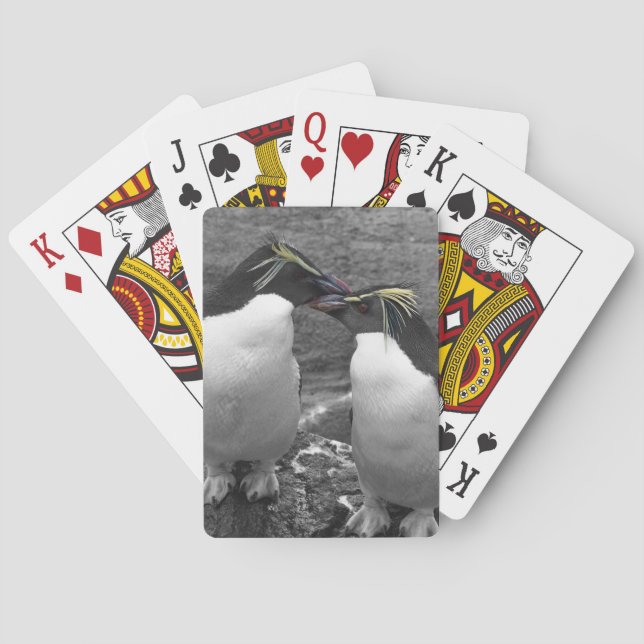 Penguin Colour Splash Casinokort (Baksidan)