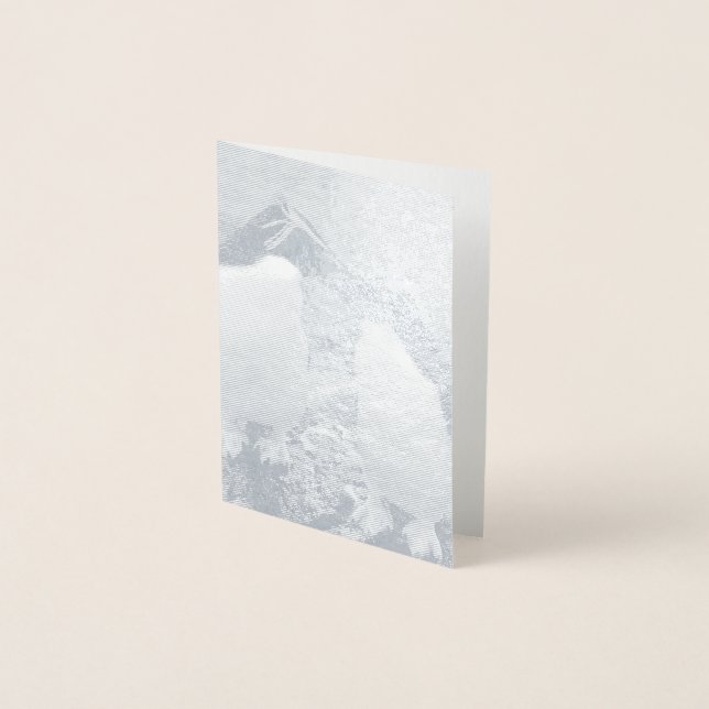 Penguin Colour Splash Folierat Kort (Framsida)