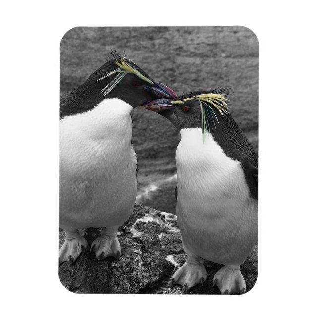 Penguin Colour Splash Magnet (Vertikal)