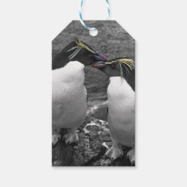 Penguin Colour Splash Presentetikett