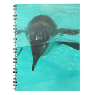 Penguin Diving Anteckningsbok