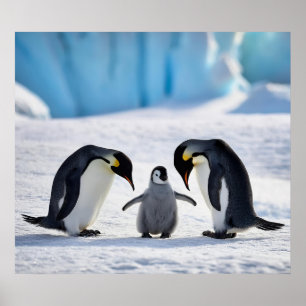 Penguin-familjen Poster