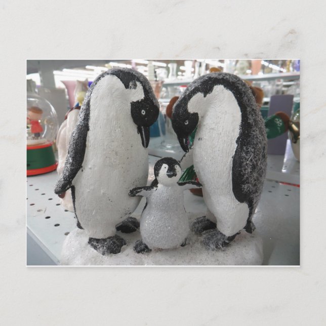 Penguin-familjen Vykort (Framsida)