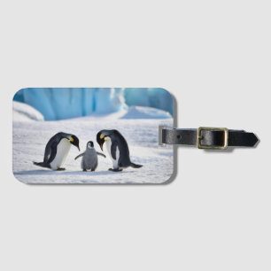 Penguin-familjens resggage-tagg bagagebricka