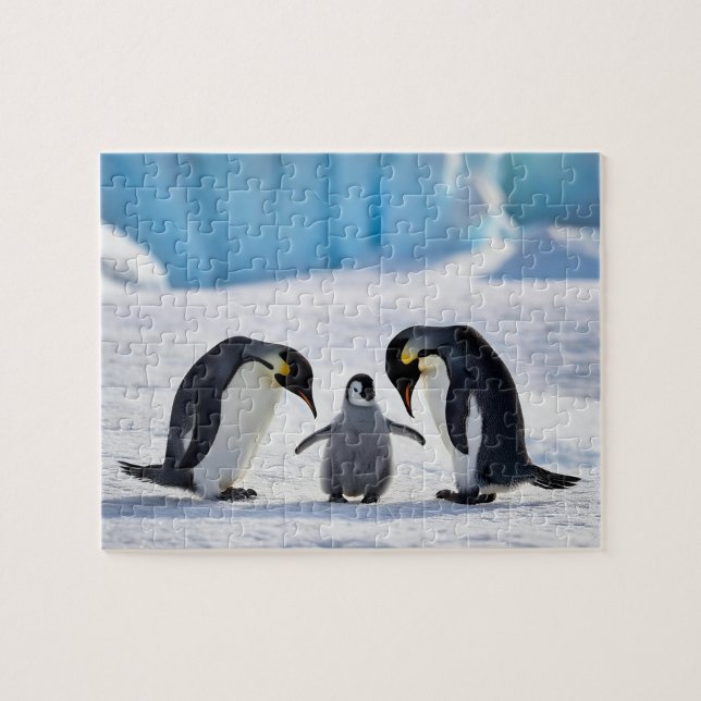 Penguin Family Puzzle Pussel (Horisontell)