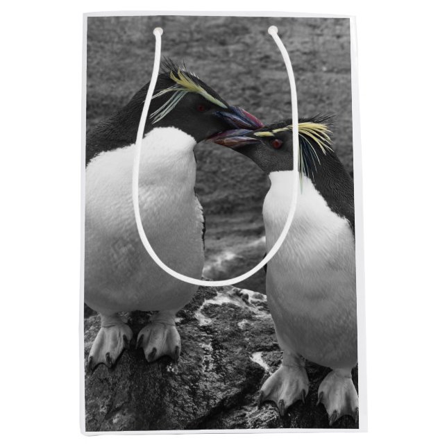 Penguin Färgsprak (Framsidan)
