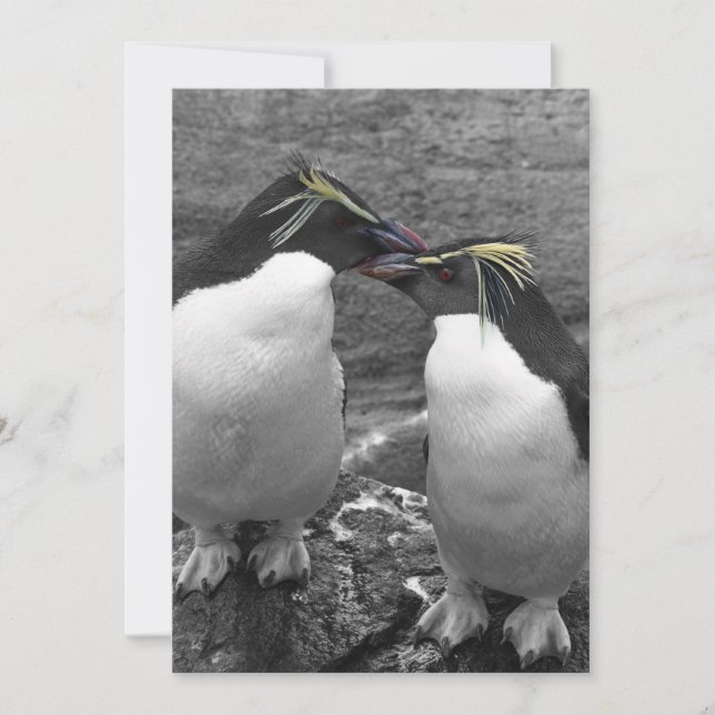 Penguin Färgsprak Inbjudningar (Framsida)