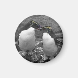 Penguin Färgsprak Magnet