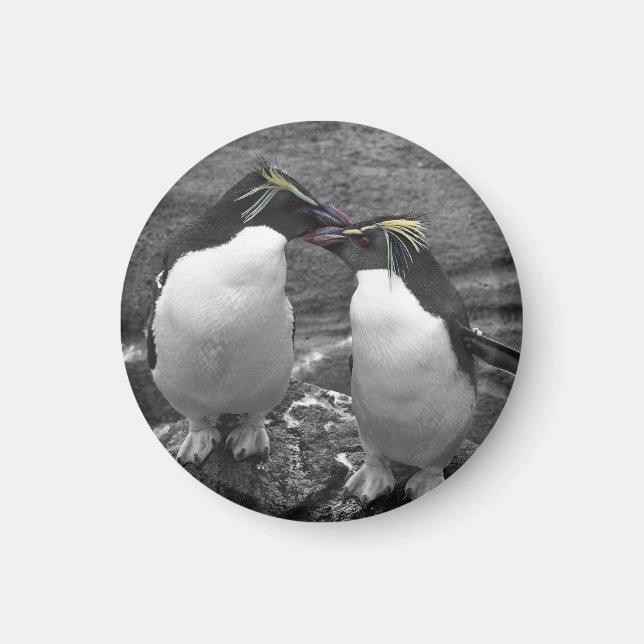 Penguin Färgsprak Magnet (Framsidan)