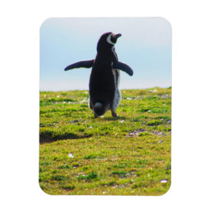 Penguin Flexible Magnet