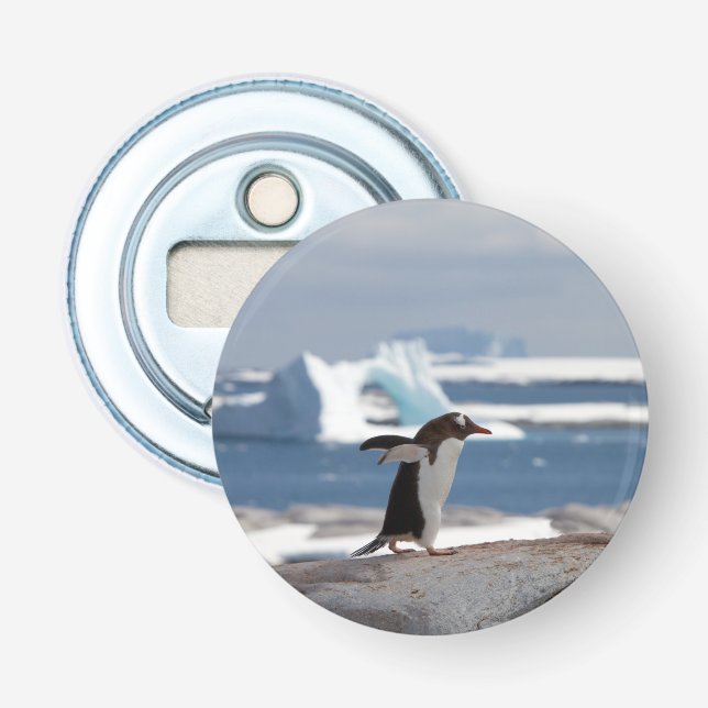 Penguin framför en isbåge flasköppnare (Framsidan)
