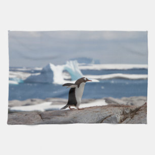 Penguin framför ett isbåge kökshandduk