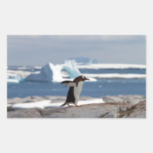 Penguin framför ett isbåge rektangulärt klistermärke