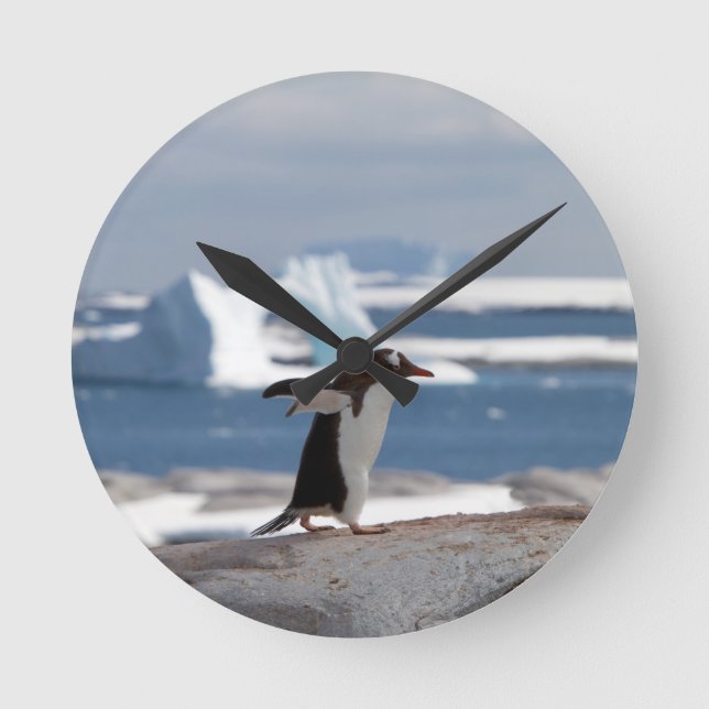 Penguin framför isbåge rund klocka (Framsida)