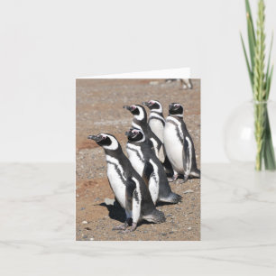 Penguin Grattis på födelsedagen Önskemål Kort