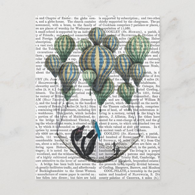 Penguin i Hammock Balloon Vykort (Framsida)