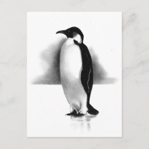 PENGUIN I PENCIL: REALISM ART VYKORT