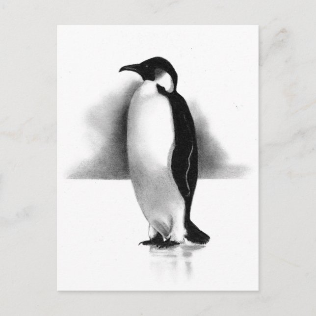 PENGUIN I PENCIL: REALISM ART VYKORT (Framsida)
