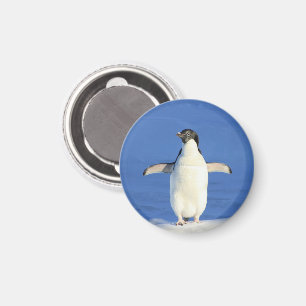 Penguin i Snö Magnet