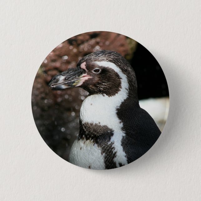 Penguin-knapp Knapp (Framsida)