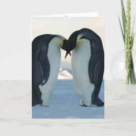 Penguin Kort