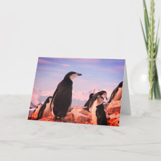 PENGUIN-kort för mappad anteckning Anteckningskort