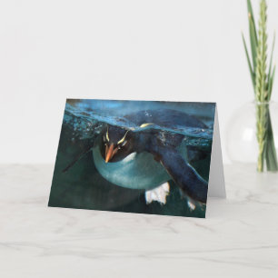 PENGUIN-kort för mappad anteckning Anteckningskort