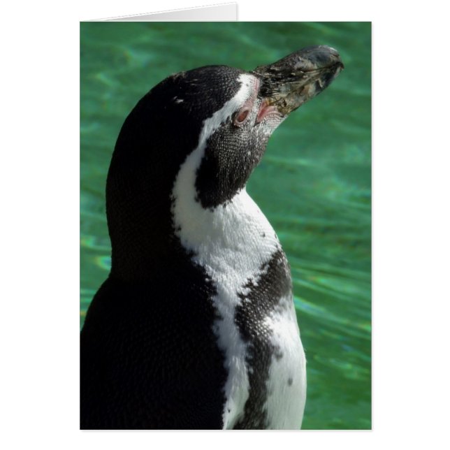 Penguin-kort Hälsningskort (Framsidan)