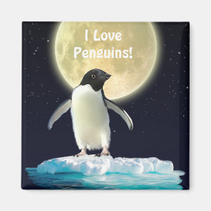 PENGUIN MÅNE Penguin Älskare Art Magnet