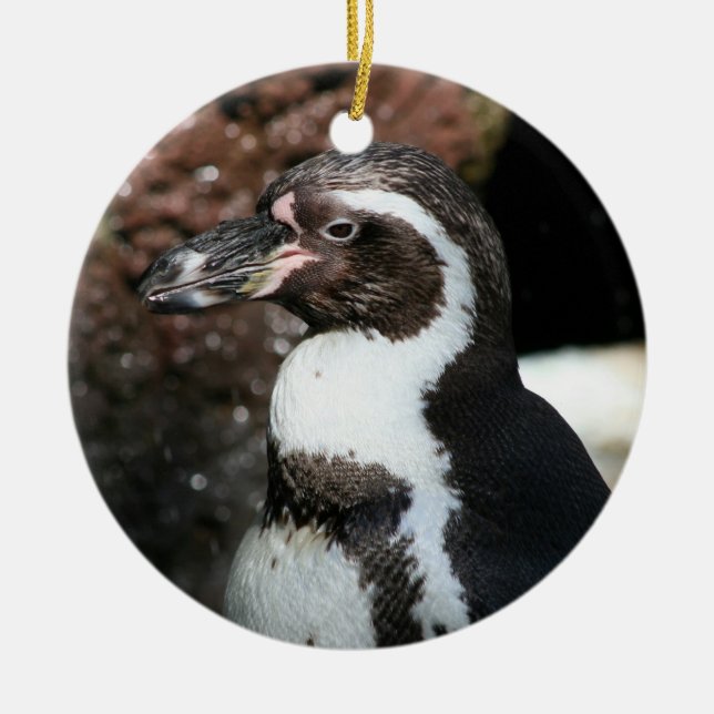 Penguin Ornament (Framsidan)
